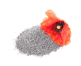 Photo of Heap of poppy seeds and red flower isolated on white