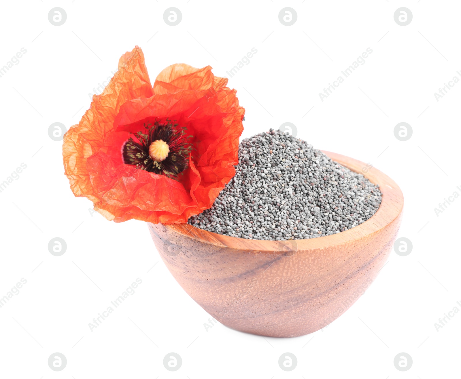 Photo of Poppy seeds in bowl and red flower isolated on white