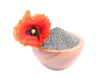 Photo of Poppy seeds in bowl and red flower isolated on white