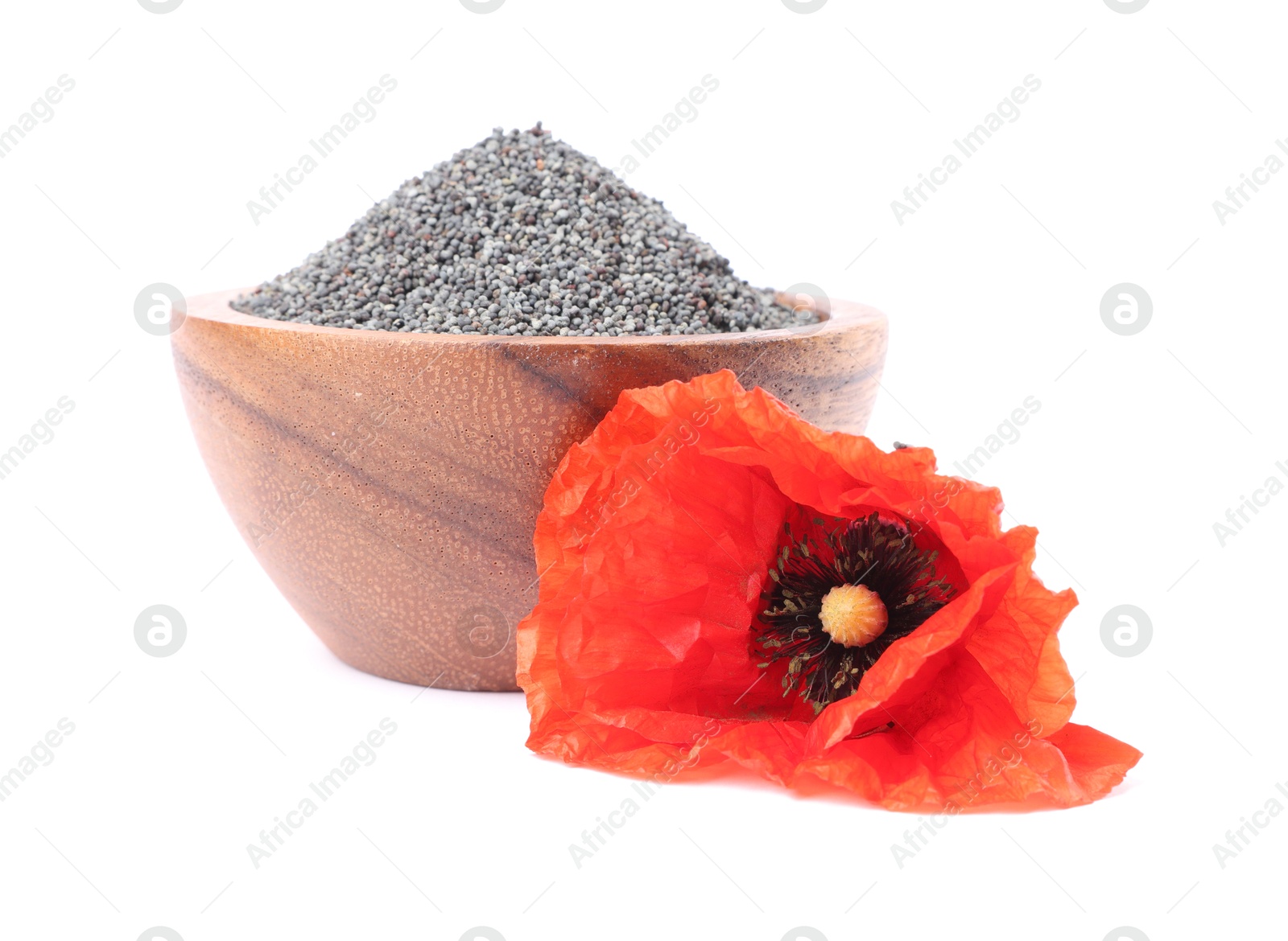Photo of Poppy seeds in bowl and red flower isolated on white