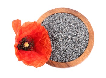 Photo of Poppy seeds in bowl and red flower isolated on white, top view