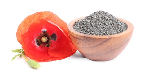 Photo of Poppy seeds in bowl and red flower isolated on white
