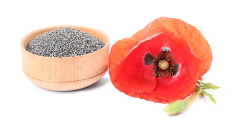 Photo of Poppy seeds in bowl and red flower isolated on white