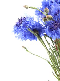 Photo of Bouquet of beautiful blue cornflowers isolated on white