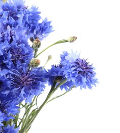Photo of Bouquet of beautiful blue cornflowers isolated on white