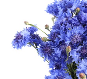 Photo of Bouquet of beautiful blue cornflowers isolated on white