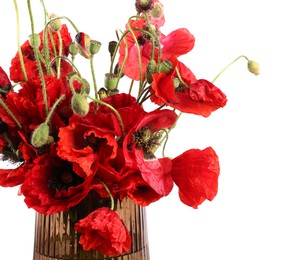 Photo of Beautiful red poppy flowers in vase isolated on white