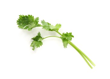Photo of Sprigs of aromatic cilantro isolated on white, above view