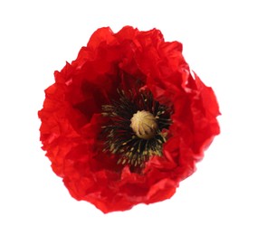 Photo of Beautiful red poppy flower isolated on white