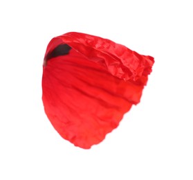 Photo of Petal of red poppy flower isolated on white