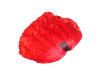 Photo of Petal of red poppy flower isolated on white