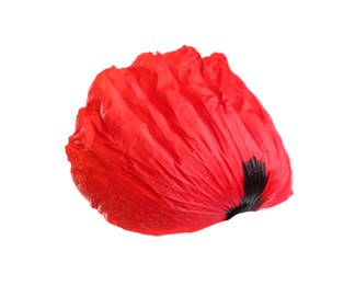 Photo of Petal of red poppy flower isolated on white