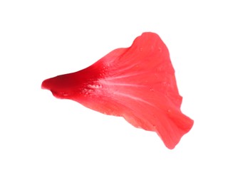 Photo of Petal of red hibiscus flower isolated on white