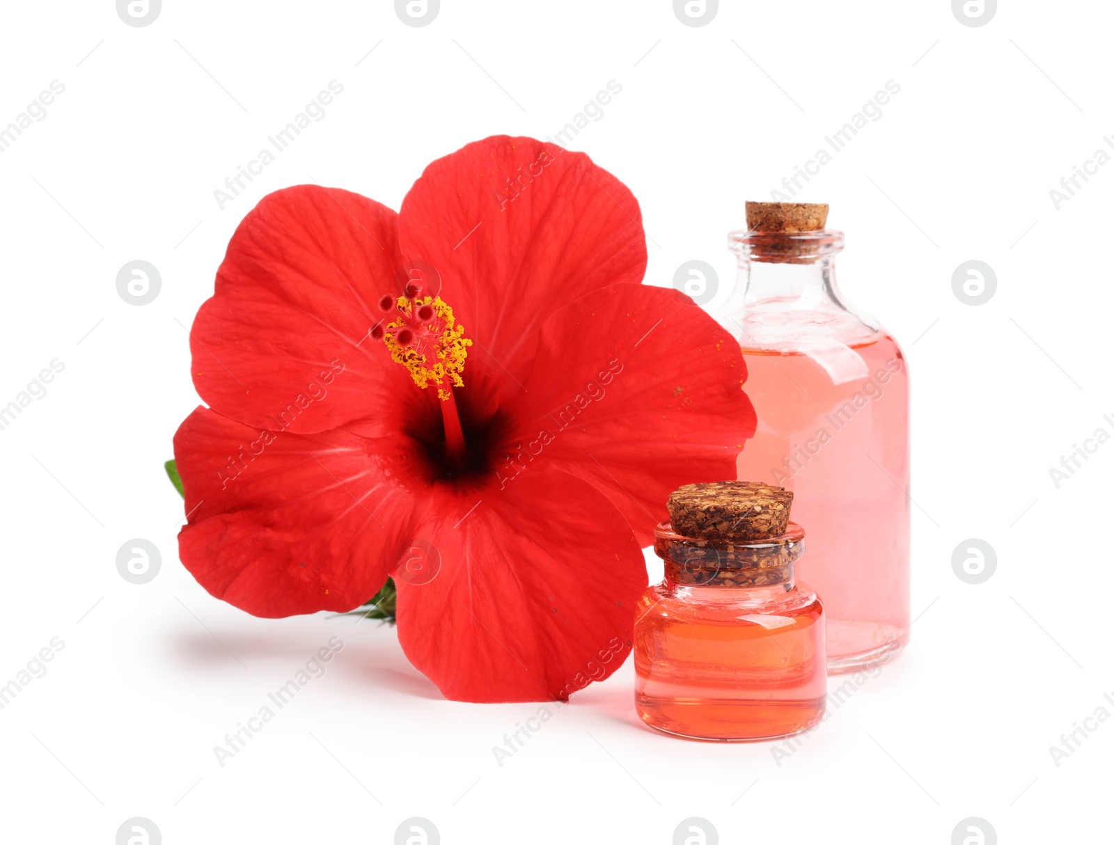 Photo of Beautiful red hibiscus flower and cosmetic products isolated on white