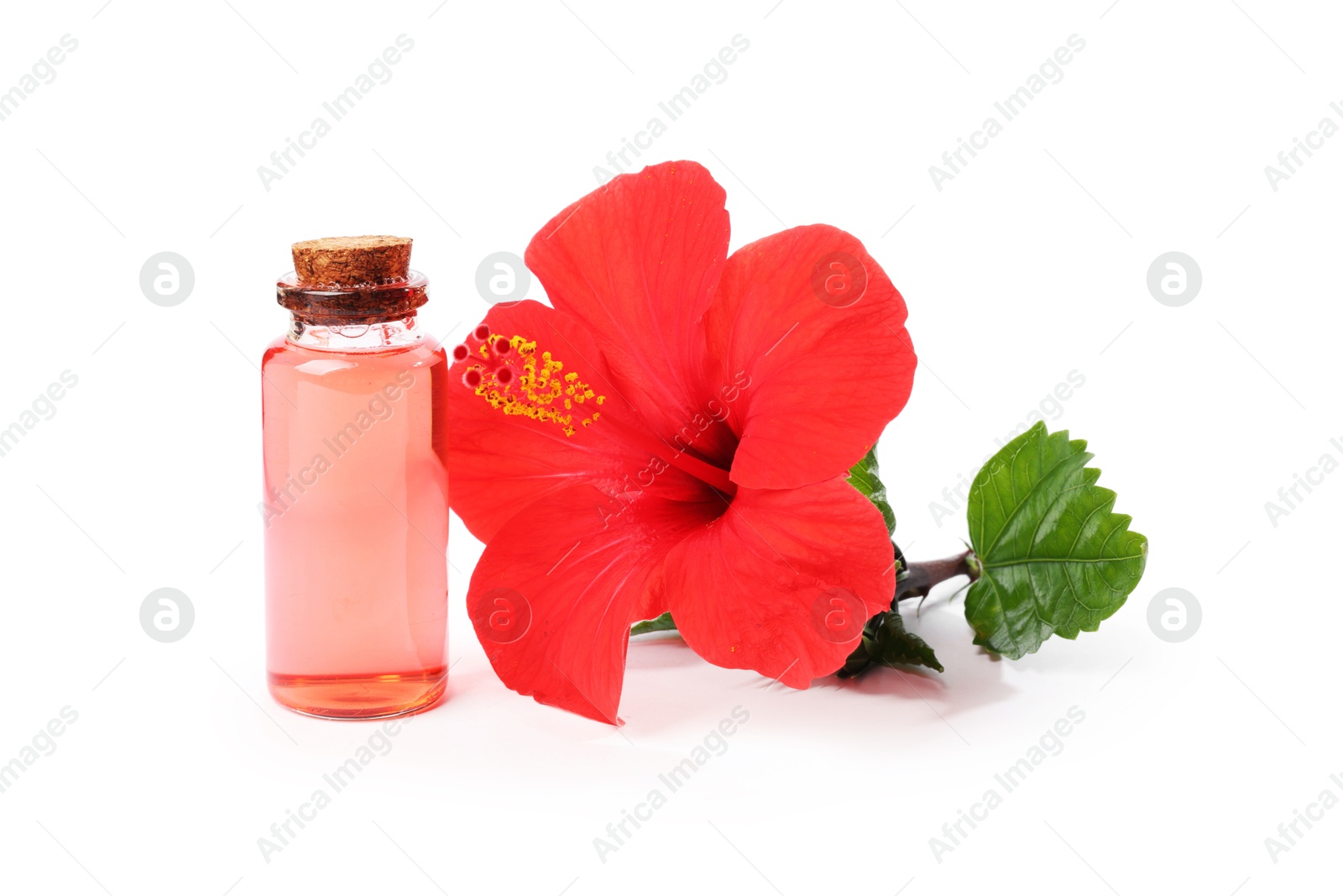 Photo of Beautiful red hibiscus flower and cosmetic product isolated on white