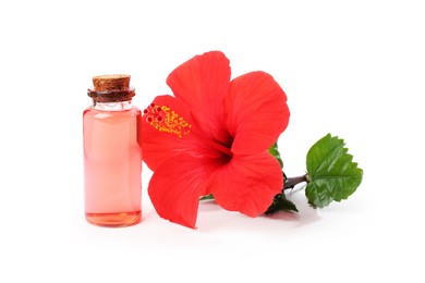 Photo of Beautiful red hibiscus flower and cosmetic product isolated on white