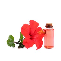 Photo of Beautiful red hibiscus flower and cosmetic product isolated on white