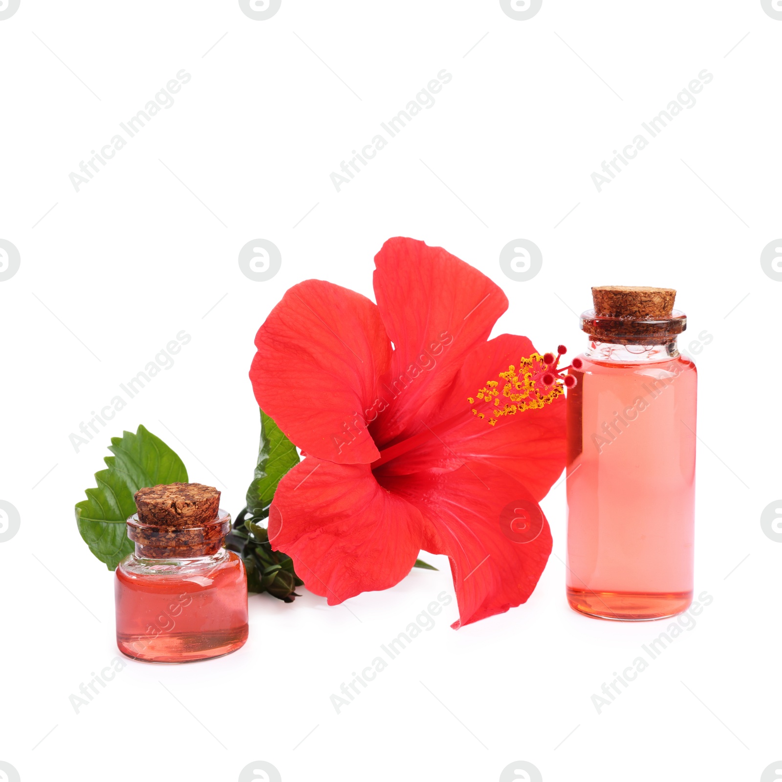 Photo of Beautiful red hibiscus flower and cosmetic products isolated on white