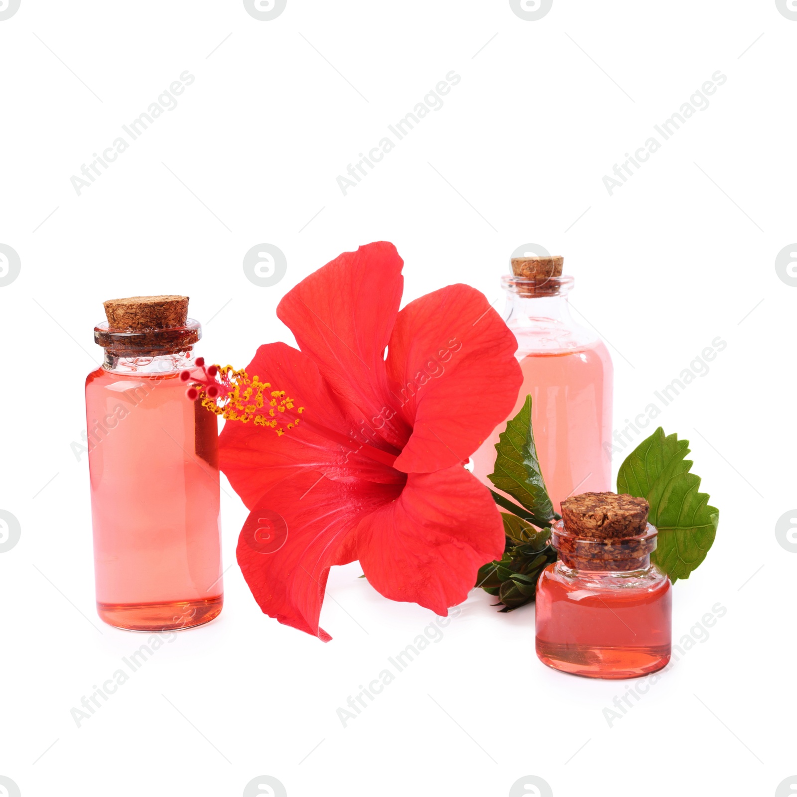 Photo of Beautiful red hibiscus flower and cosmetic products isolated on white