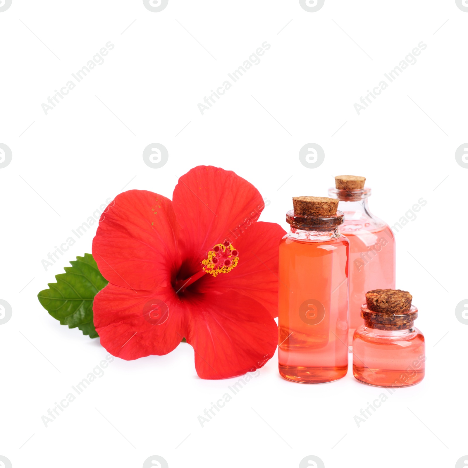 Photo of Beautiful red hibiscus flower and cosmetic products isolated on white