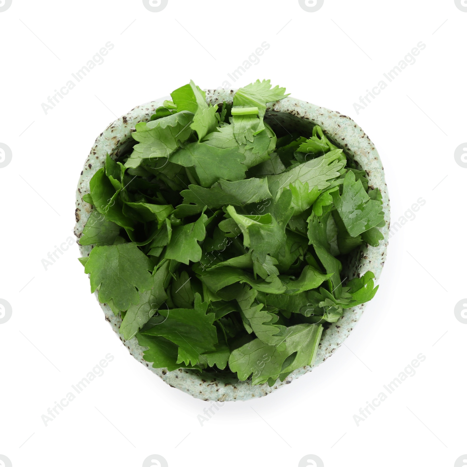 Aromatic cilantro in bowl isolated on white, top view Photo of Aromatic cilantro in bowl isolated on white, top view