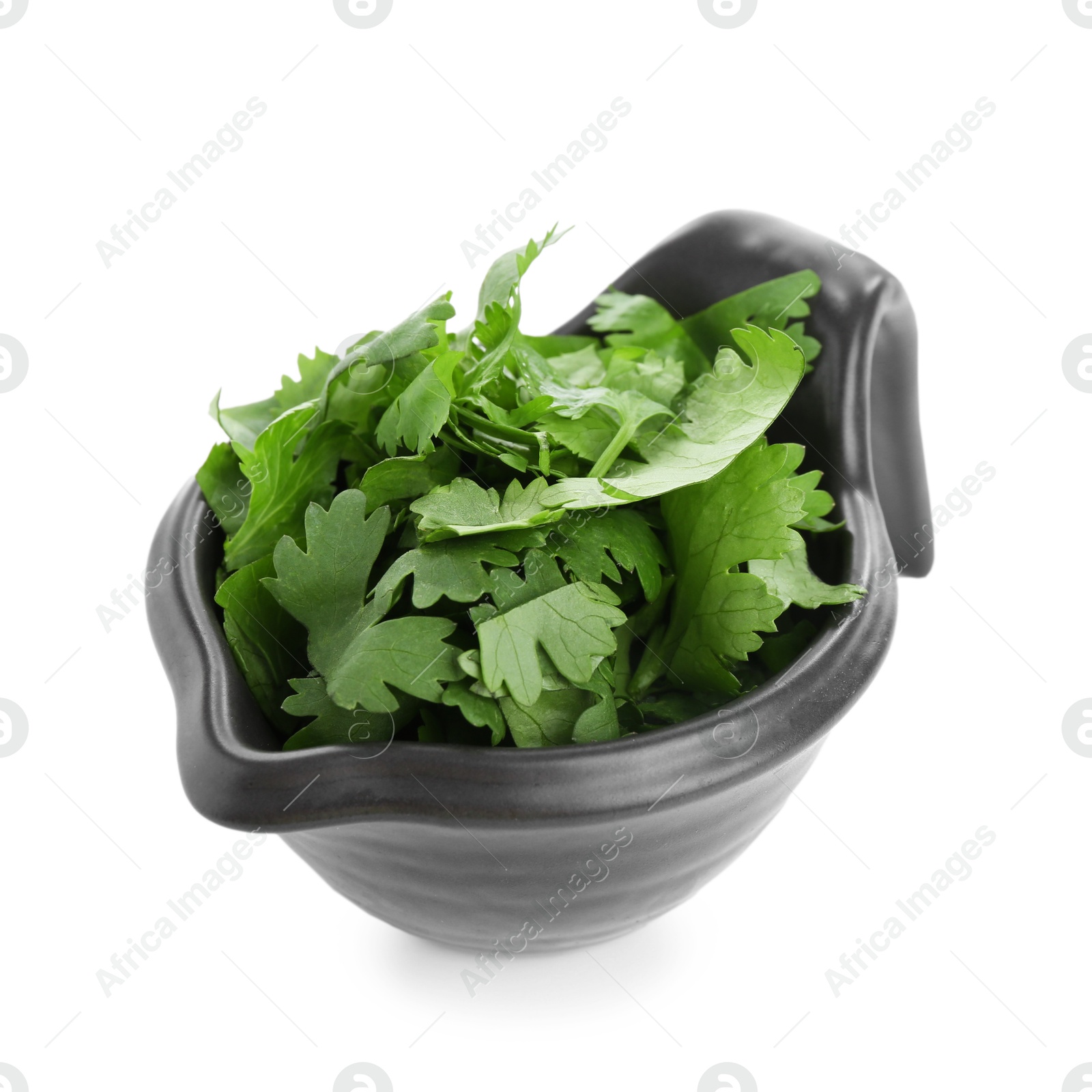 Aromatic cilantro in gravy boat isolated on white Photo of Aromatic cilantro in gravy boat isolated on white