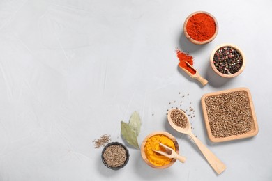 Photo of Different aromatic spices on light table, flat lay. Space for text