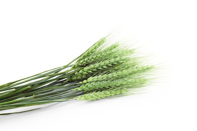 Photo of Many green wheat spikes isolated on white