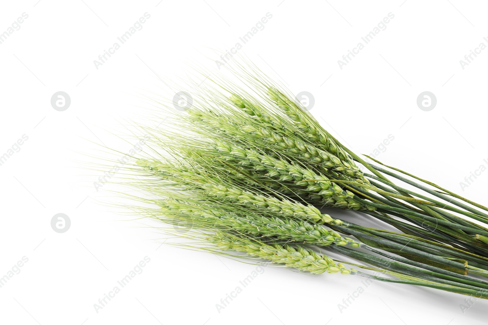 Photo of Many green wheat spikes isolated on white