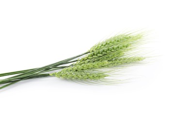 Photo of Many green wheat spikes isolated on white