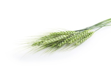 Photo of Many green wheat spikes isolated on white