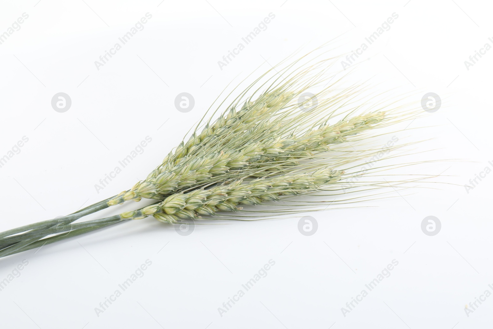 Photo of Many green wheat spikes on white background