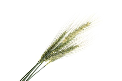 Photo of Many green wheat spikes isolated on white