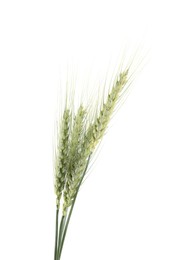 Photo of Many green wheat spikes isolated on white