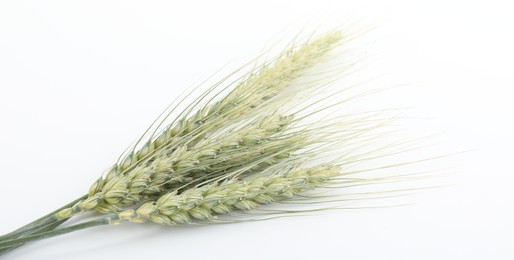 Photo of Many green wheat spikes on white background