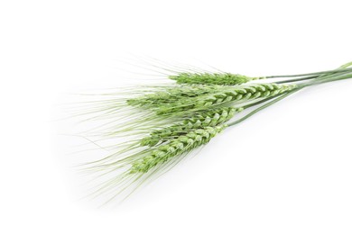 Photo of Many green wheat spikes isolated on white