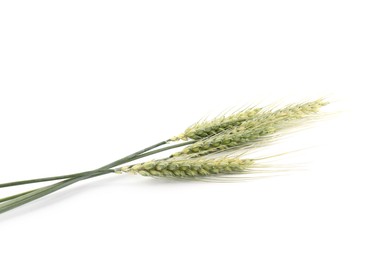 Photo of Many green wheat spikes isolated on white