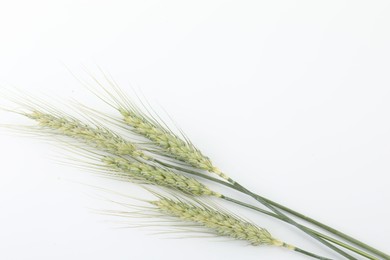 Photo of Many green wheat spikes on white background, top view
