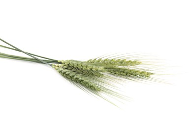 Photo of Many green wheat spikes isolated on white