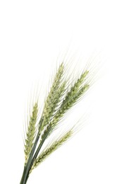 Photo of Many green wheat spikes isolated on white