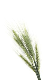 Photo of Many green wheat spikes isolated on white
