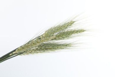 Photo of Many green wheat spikes on white background