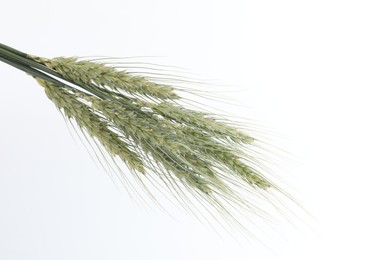 Photo of Many green wheat spikes on white background