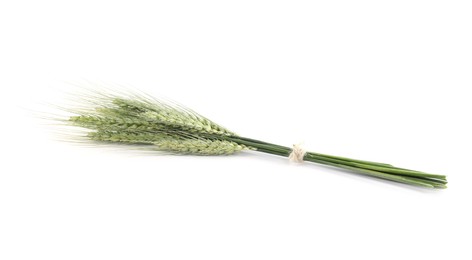 Photo of Many green wheat spikes isolated on white