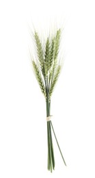 Photo of Many green wheat spikes isolated on white