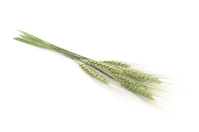 Photo of Many green wheat spikes isolated on white