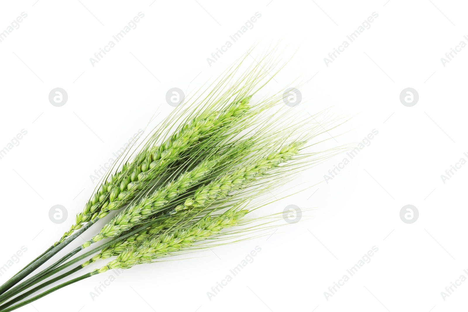 Many green wheat spikes isolated on white, top view Photo of Many green wheat spikes isolated on white, top view