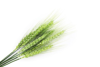 Photo of Many green wheat spikes isolated on white, top view