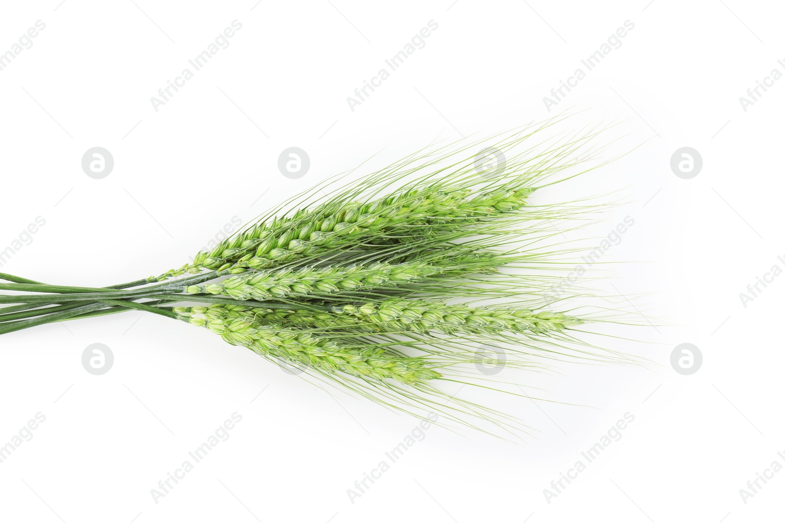 Many green wheat spikes isolated on white, top view Photo of Many green wheat spikes isolated on white, top view