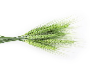 Photo of Many green wheat spikes isolated on white, top view